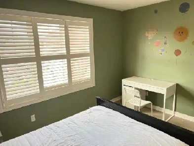 single room for rent Image# 1