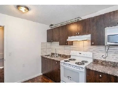Beautiful basement for rent Image# 2