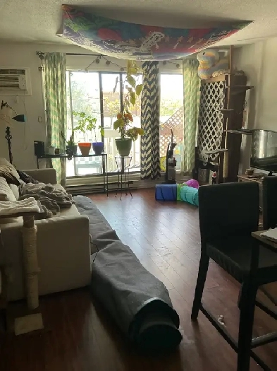 SPACIOUS ONE BEDROOM - PET FRIENDLY! Image# 1