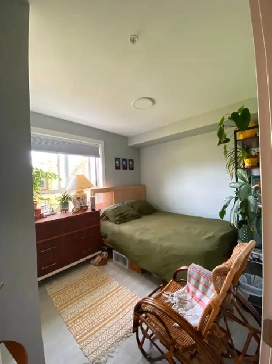 1 bedroom/bath in 3-bedroom apartment Image# 4