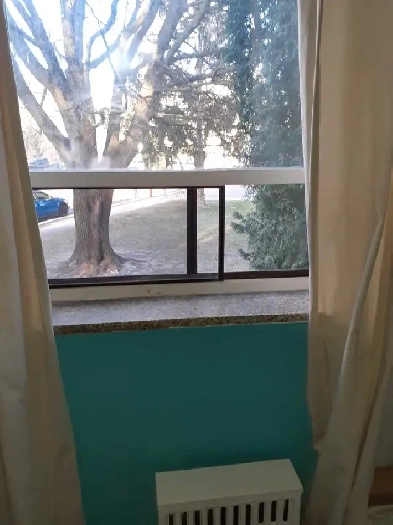 Room for rent in a 2 bdrm Image# 3