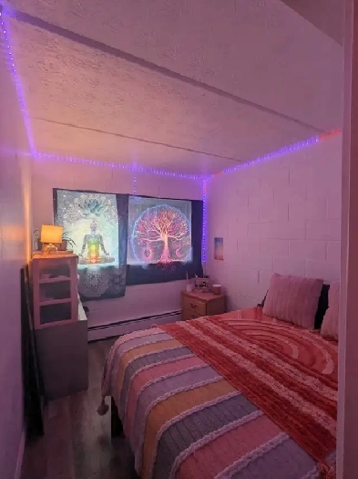 Appartement TOUT INCLUS & MEUBLÉ  à sous-louer pour JUIN Image# 2
