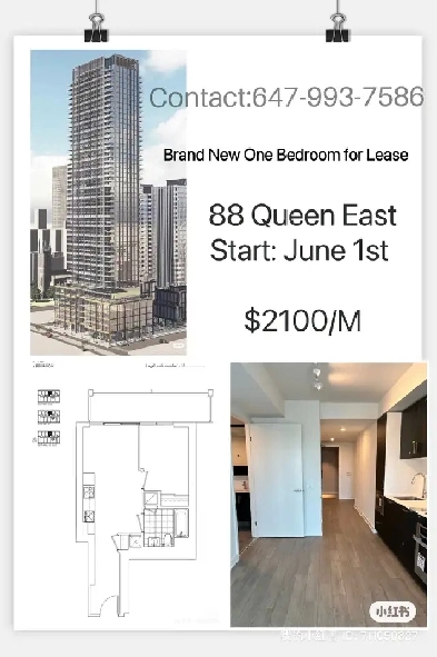 Suit-One Bedroom for Rent(88 Queen East, Toronto),call6479937586 Image# 9