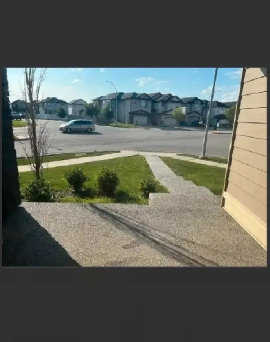 Room for Rent Image# 1