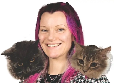 cherche appartement proche d'un metro   2 chattes operérées Image# 1