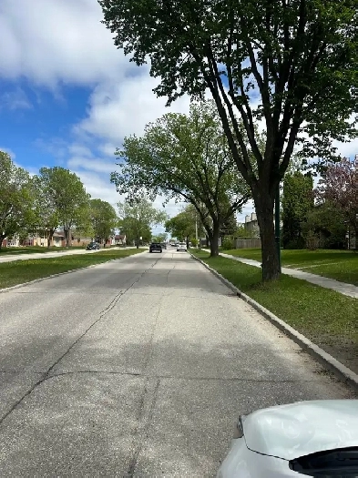 PRIVATE ROOM RENT ON MAIN FLOOR . Tyndall park . north side Image# 1