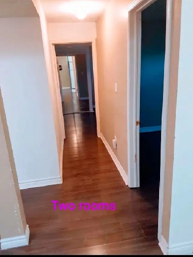 Full 2 Bedroom Basement: Markham and Steeles for rent Image# 12