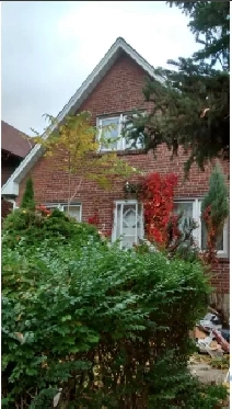 Bright 1 bedroom   Den basement apartment for Rent Image# 2