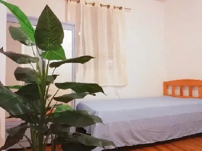 New renovated Furnished 1 room on the first floor  ,move in now。 Image# 8