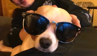 ISO Mature Renter Private Bsmt Suite/Home Share $950 ALL IN Image# 1