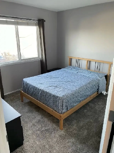 Room for rent in Leduc Image# 1