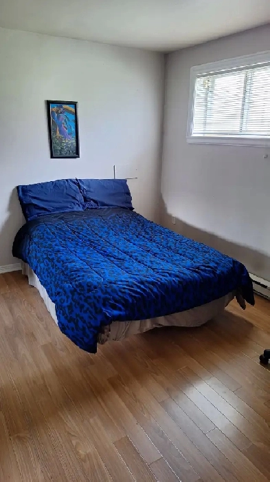 Chambre à louer Image# 1