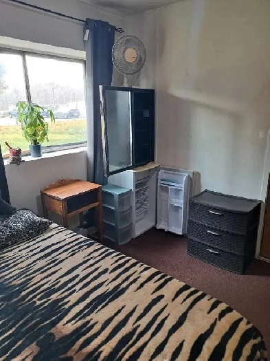 private room for rent 650 inclusive Image# 1