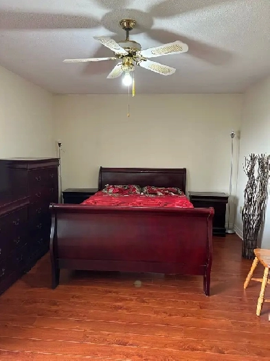 Room for rent for Females Image# 1