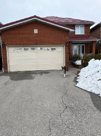 2 Bedroom Basement Apartment for Rent Humberwood and Rexdale Image# 3