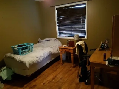 Part time rental, room available $650 inclusive. Common areas sh Image# 1