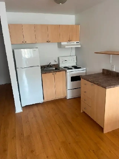 PRÈS DU MÉTRO PIE IX, 2 1/2 OUVERT, LIBRE, 850$ TOUT INCLUS Image# 2