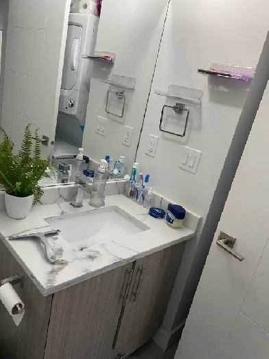 Legal rental units newly two large bedrooms and one bathroom Image# 9