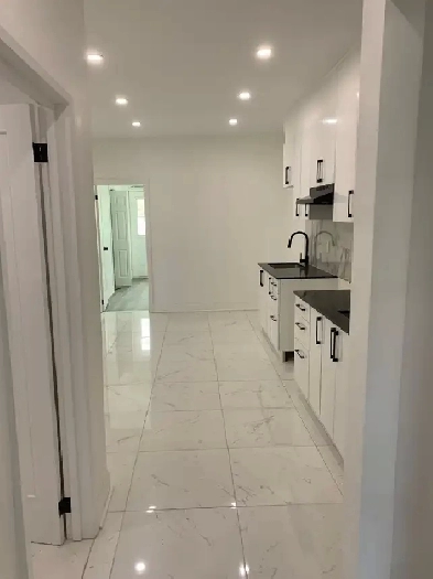 4 1/2 appartement Rénové à louer Plateau-Mont-Royal Image# 8