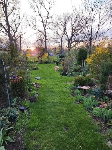 Room in the House Image# 1