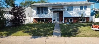 house 5bdrm Vegreville Image# 7