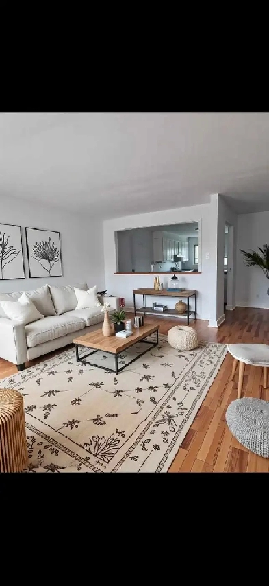 Grand Logement 5 1/2 - 8945 14e ave Image# 4