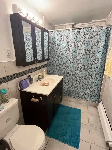 appartement a louer 3 et demi Image# 7