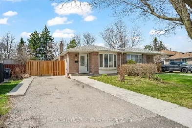 Stunning 3 2 Bedroom Semi Detached With Fin Bsm & Sep Ent In Bra Image# 3