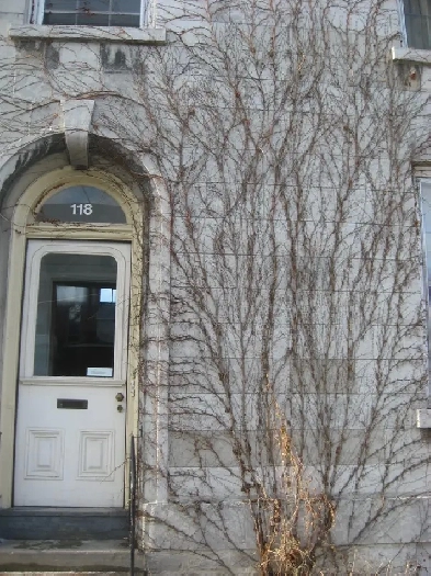118 Wellington Street  Unit One Image# 3
