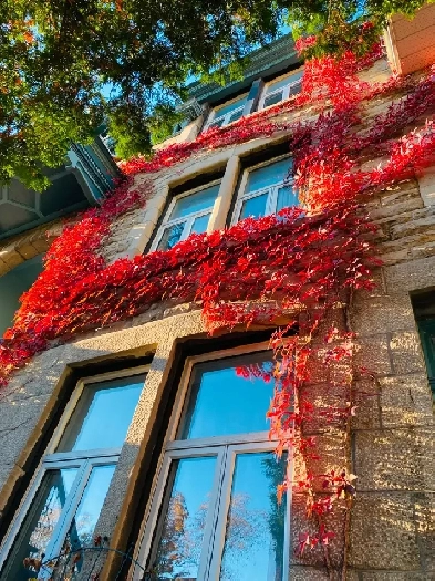 Rooms for Rent/Atwater Downtown Montreal Image# 1