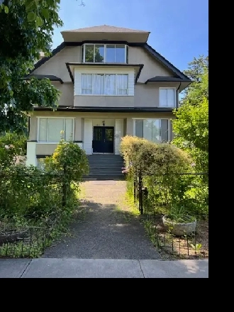 Large 1 Bedroom Available in Fairview Image# 1