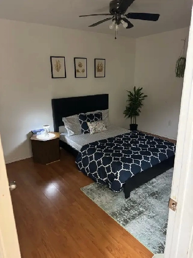 ROOM FOR RENT NEAR HUMBER COLLEGE Image# 1