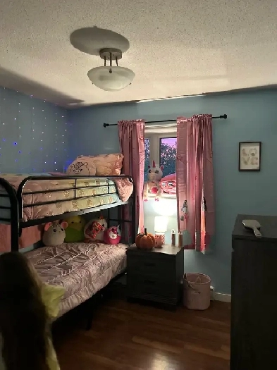 2 bedroom apartment for sublet Image# 4