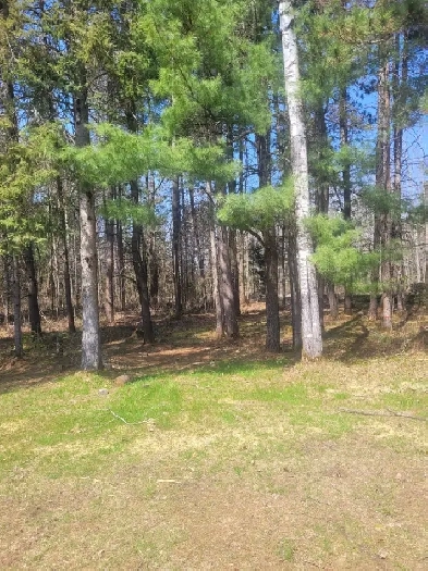 LAND FOR SALE, PT LOT 19 CON 13 CHENIER ROAD, MATTAWA ONTARIO Image# 1