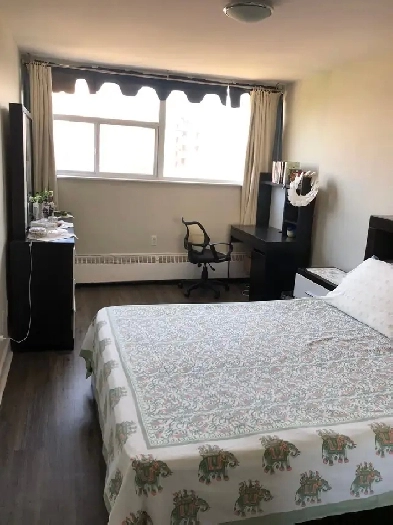 Large Bright Furnished Room for rent Image# 1