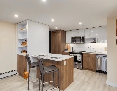 One bedroom Apartment in Calgary downtown Image# 2