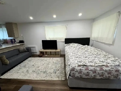 Studio 2 1/2 for rent - Saint-Léonard Image# 1