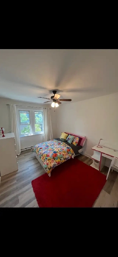 beautiful appartement to rent for 3 Image# 1