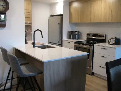 logement a louer 3 1/2 Image# 9