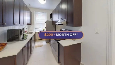 Apartment for Rent at King Edward Avenue, Sandy Hill Image# 1