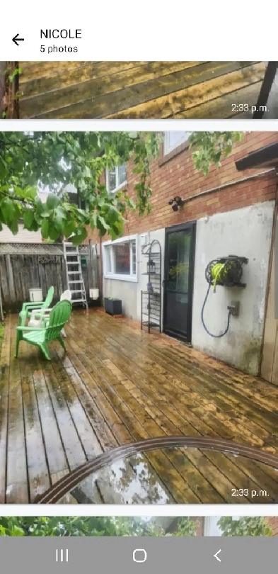 West Toronto Garden Bachelor Suite available June 1st! Image# 1