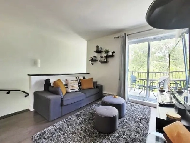 Super condo à louer à Longueuil Image# 7