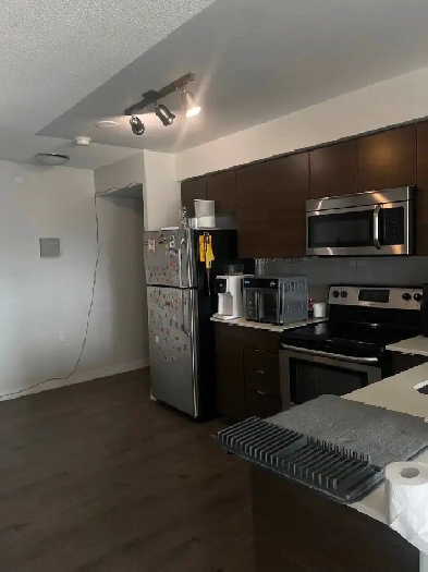 Female Room Rent - June 1st Image# 1