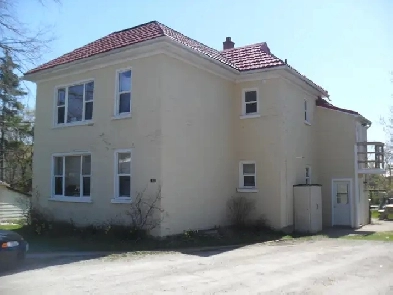 1 bedroom apartment for rent Image# 8