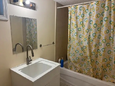 1 bedroom of basement for rent Image# 2
