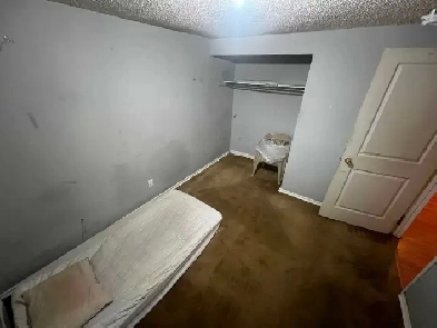 private room available in legal basement suite Image# 1