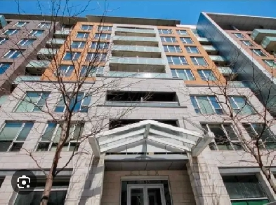 Indoor Garage in Luxury Bishop Street Residence – Only $80/Week! Image# 1