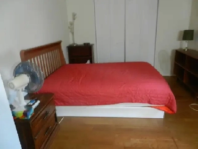 Room for Rent in the West Island Image# 1