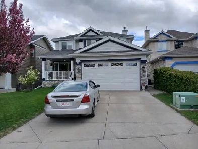 Bright, clean 2 bedroom walkout basement suite for rent August 1 Image# 3