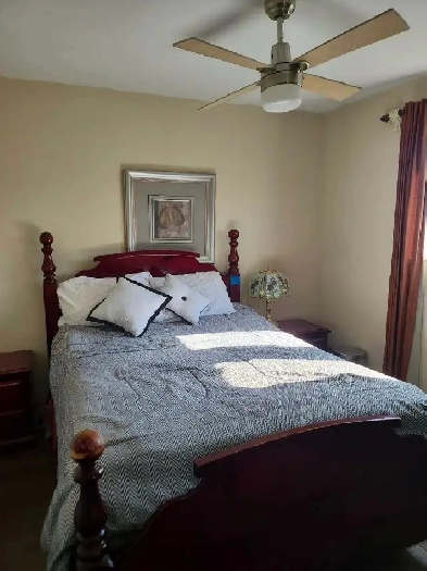 Room for rent Image# 4